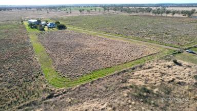 Farm Sold - QLD - Jimbour - 4406 - Have you been looking for a Country Life Change? Here is a small property that ticks the boxes and its under $600k!  (Image 2)