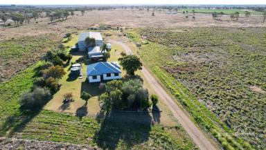 Farm Sold - QLD - Jimbour - 4406 - Have you been looking for a Country Life Change? Here is a small property that ticks the boxes and its under $600k!  (Image 2)