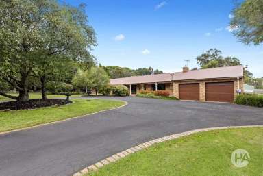 Farm Sold - VIC - Langwarrin - 3910 - Private Paradise With Swimming Pool & BBQ Deck  (Image 2)