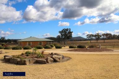 Farm Sold - NSW - Inverell - 2360 - THIS IS THE ONE!  (Image 2)