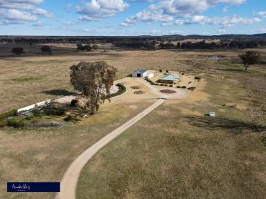 Farm Sold - NSW - Inverell - 2360 - THIS IS THE ONE!  (Image 2)