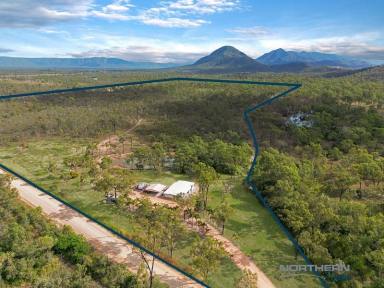 Farm Sold - QLD - Black River - 4818 - 95 Acres | Tranquility | Close to Town  (Image 2)