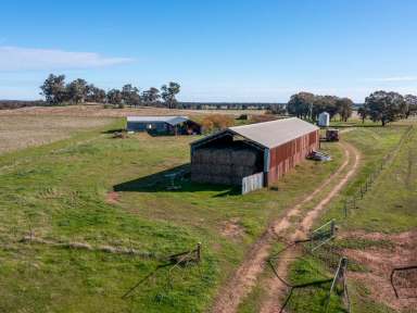 Farm Sold - NSW - Bungowannah - 2640 - "Mayfield Woolshed" 
Lot 5 & Lot 6 Mayfield Road, Bungowannah  (Image 2)