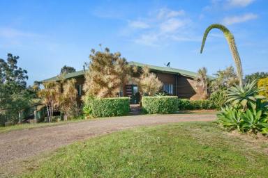 Farm For Sale - QLD - Langshaw - 4570 - LANGSHAW LIMES  (Image 2)