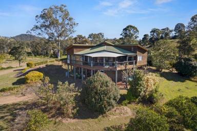 Farm For Sale - QLD - Langshaw - 4570 - LANGSHAW LIMES  (Image 2)