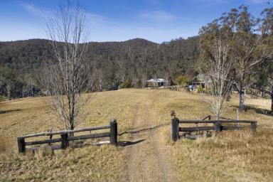 Farm Sold - NSW - Tyringham - 2453 - "Tin Hut" 40.47*ha or 99.96*ac - Live the peaceful lifestyle you have always dreamed of  (Image 2)