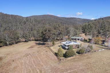 Farm Sold - NSW - Tyringham - 2453 - "Tin Hut" 40.47*ha or 99.96*ac - Live the peaceful lifestyle you have always dreamed of  (Image 2)