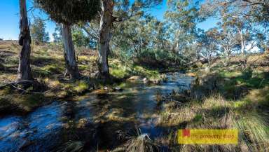 Farm Sold - NSW - Mudgee - 2850 - PERFECT RECREATION BLOCK WITH CREEK FRONTAGE  (Image 2)