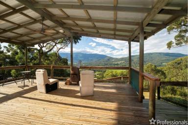 Farm Sold - VIC - Yarra Junction - 3797 - MULTI-MILLION DOLLAR VIEWS AT A FRACTION OF THE PRICE!  (Image 2)
