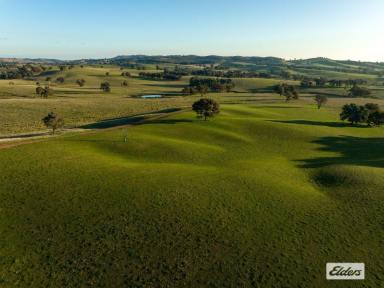 Farm Sold - NSW - Wagga Wagga - 2650 - High rainfall mixed farming  (Image 2)
