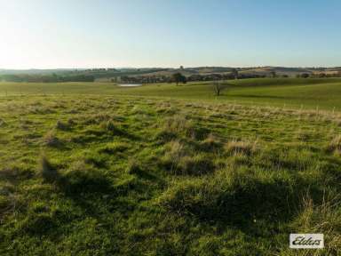 Farm Sold - NSW - Wagga Wagga - 2650 - High rainfall mixed farming  (Image 2)