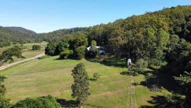 Farm Sold - QLD - Koumala - 4738 - Owner relocating - Large Acreage - For sale now!  (Image 2)