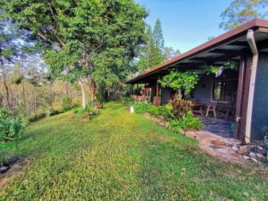 Farm Sold - QLD - Silver Valley - 4872 - Wild River Frontage  (Image 2)