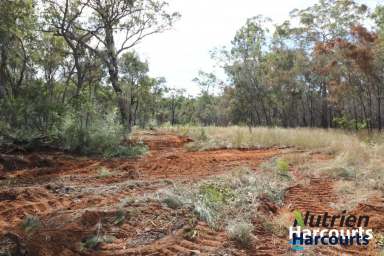 Farm Sold - QLD - Abington - 4660 - 144 ACRE BUSH BLOCK WITH APPROX. 800M PERMANENT CREEK FRONTAGE  (Image 2)