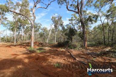 Farm Sold - QLD - Abington - 4660 - 144 ACRE BUSH BLOCK WITH APPROX. 800M PERMANENT CREEK FRONTAGE  (Image 2)