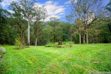 Farm Sold - VIC - Reefton - 3799 - HOME, SWEET HOME  (Image 2)