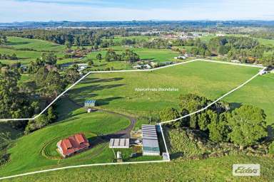 Farm Sold - TAS - Flowerdale - 7325 - FANTASTIC ACRE LIFESTYLE PROPERTY  (Image 2)