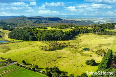 Farm For Sale - NSW - Robertson - 2577 - Incredible Coastal Views, Pristine Rainforest & Rolling Green Pastures  (Image 2)