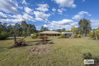 Farm Sold - NSW - Clarenza - 2460 - LIFESTYLE ACRES ONLY 5 MINUTES FROM GRAFTON  (Image 2)
