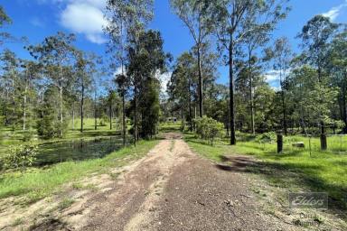 Farm For Sale - QLD - Glenwood - 4570 - THE ONE YOU WILL NOT WANT TO MISS!  (Image 2)