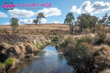 Farm Sold - NSW - Red Range - 2370 - BENBRACKEN  (Image 2)