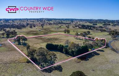 Farm Sold - NSW - Black Mountain - 2365 - Room For The Family  (Image 2)