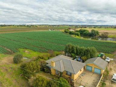 Farm Sold - VIC - Walpa - 3875 - LIFESTYLE WITH INCOME ON PRIME MITCHELL RIVER FLATS  (Image 2)