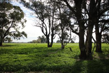 Farm Sold - VIC - Elmore - 3558 - SELLING AS 12 OR 30 ACRES- $775,000/$999,000  (Image 2)
