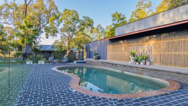 Farm Sold - QLD - Cedar Grove - 4285 - Dreaming of space, sheds and a pool?  (Image 2)