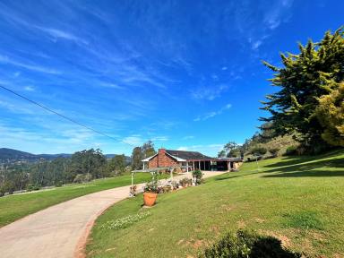 Farm Sold - NSW - Kyogle - 2474 - PICTURE-PERFECT COUNTRY LIVING AWAITS  (Image 2)