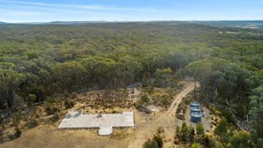 Farm Sold - NSW - Marulan - 2579 - YOUR DREAM LOCATION FOUND - MOORWOOD  (Image 2)