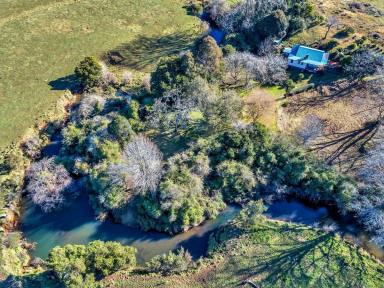 Farm Sold - NSW - Dorrigo - 2453 - An Instantly Appealing Property...  (Image 2)
