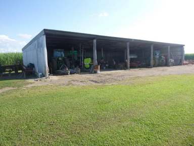 Farm Sold - QLD - Toobanna - 4850 - QUALITY ESTABLISHED CANE FARM WITH IMPROVEMENTS!  (Image 2)