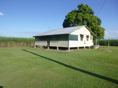 Farm Sold - QLD - Toobanna - 4850 - QUALITY ESTABLISHED CANE FARM WITH IMPROVEMENTS!  (Image 2)