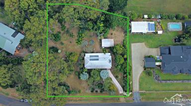 Farm Sold - QLD - Tinana - 4650 - Potential PLUS in Tinana On One Acre!!!  (Image 2)