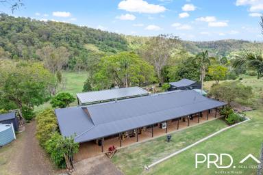 Farm Sold - NSW - Rock Valley - 2480 - Spectacular 70+ Acre Property  (Image 2)