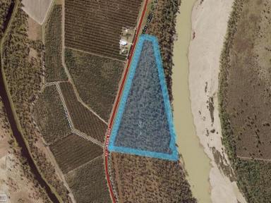 Farm For Sale - QLD - Millaroo - 4807 - Leasehold Land For Sale  (Image 2)