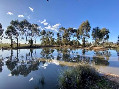 Farm For Sale - VIC - Alma - 3465 - Bank Friendly Rural Living Town Power Town Water 2BR Farm cottage with shedding and two huge dams on approx 30 acres (8 klms to Maryborough)  (Image 2)
