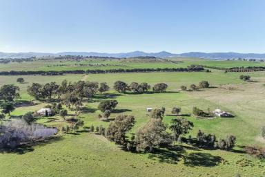 Farm Sold - VIC - Mansfield - 3722 - PRIME ACREAGE ON THE EDGE OF MANSFIELD  (Image 2)