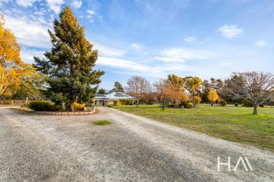 Farm Sold - TAS - Devon Hills - 7300 - Space and grace on 3.67 acres only 10 minutes from Launceston!  (Image 2)