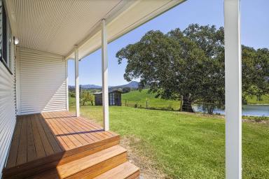 Farm Sold - NSW - Buckra Bendinni - 2449 - Enjoy the panorama of the majestic mountain views...  (Image 2)