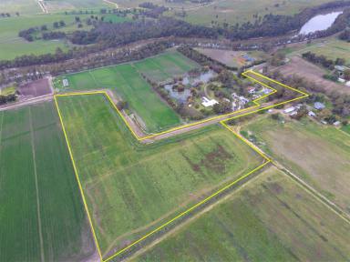Farm For Sale - VIC - Swan Hill - 3585 - Down by the River  (Image 2)