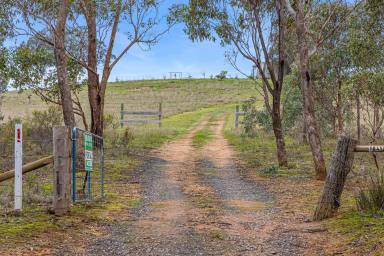Farm For Sale - VIC - Tooborac - 3522 - Starry, starry night paint your life in a perfect way!  (Image 2)