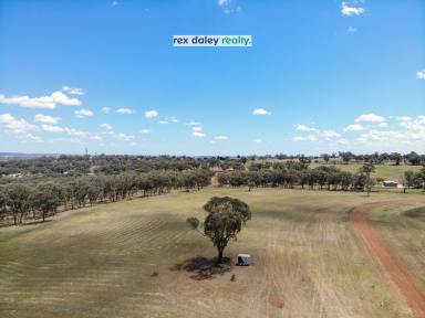 Farm Sold - NSW - Inverell - 2360 - RUNNYMEDE HEIGHTS ESTATE - YOUR DREAM LIFESTYLE  (Image 2)