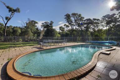 Farm Sold - VIC - Scarsdale - 3351 - Lifestyle Property Ideal For The Extended Family Just 5 Minutes From Smythesdale  (Image 2)