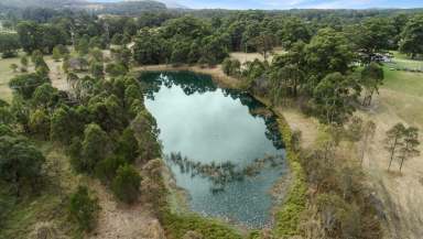 Farm Sold - NSW - Johns River - 2443 - Vacant Rural Land with Development Potential  (Image 2)