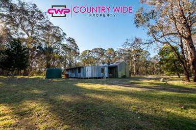 Farm Sold - NSW - Mount Mitchell - 2365 - Lifestyle Hideaway..  (Image 2)