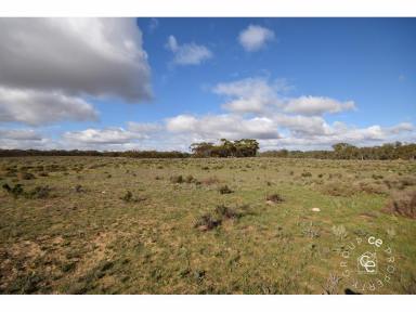 Farm Sold - SA - Cambrai - 5353 - A Little Piece of Marne Valley Paradise  (Image 2)