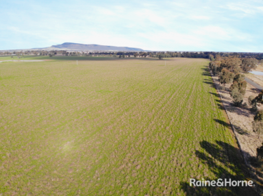 Farm Sold - NSW - Grenfell - 2810 - "EAST GUMIL" FOR SALE BY EOI  (Image 2)