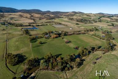 Farm Sold - TAS - Campania - 7026 - "Mallow" A Luxury Lifestyle Property and Vineyard in The Coal River Valley  (Image 2)